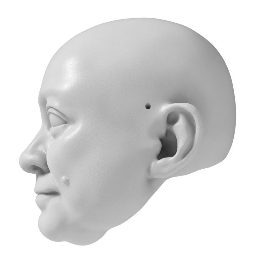 Modèle de tête de Homme prospère pour l'impression 3D 130 mm