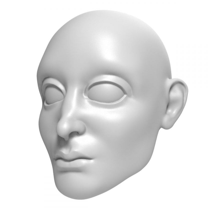 3D Modèle de tête d'un Prince pour l'impression 3D 157 mm