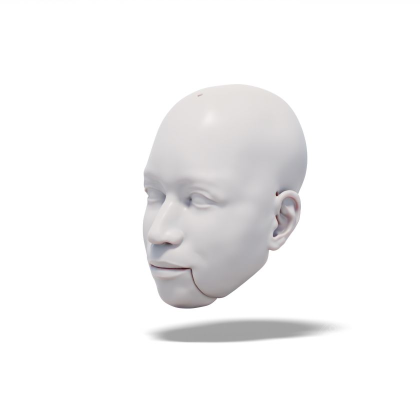 Modèle 3D d'une tête d'homme charmante pour l'impression 3D