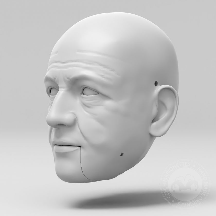 Model of Monet's head for 3D printing