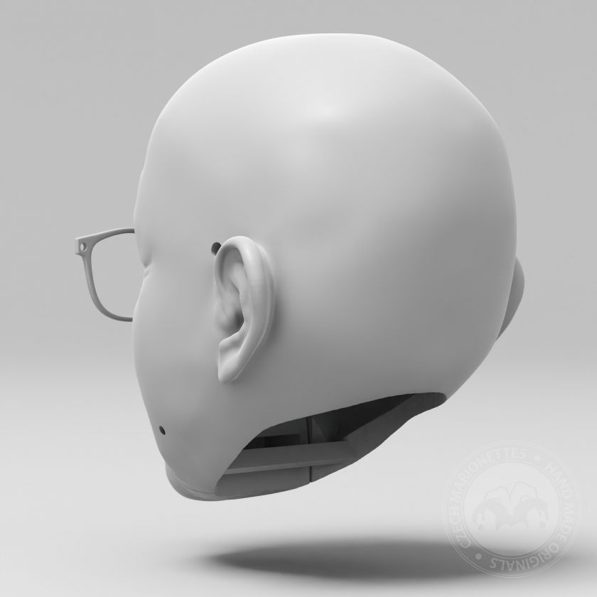 3D model hlavy profesora