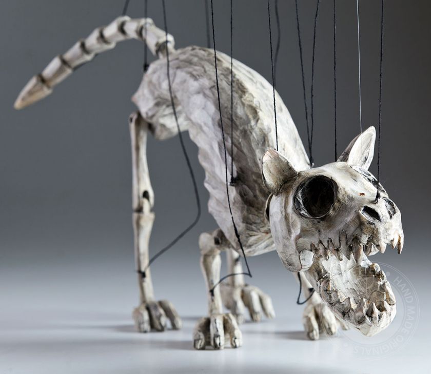 Norbert The Skeleton Cat