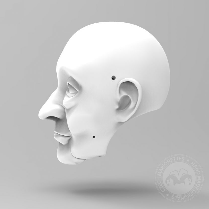 3D Modèle de tête de Aesop pour l'impression 3D 180 mm