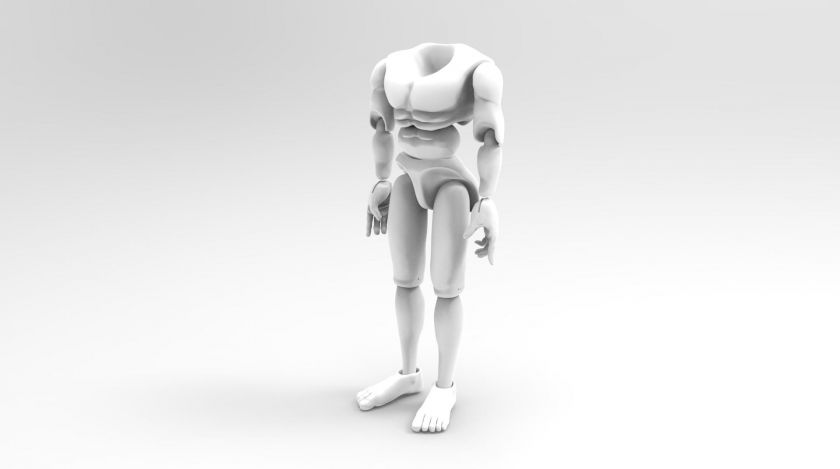 Ringer 3D Körpermodell für den 3D-Druck