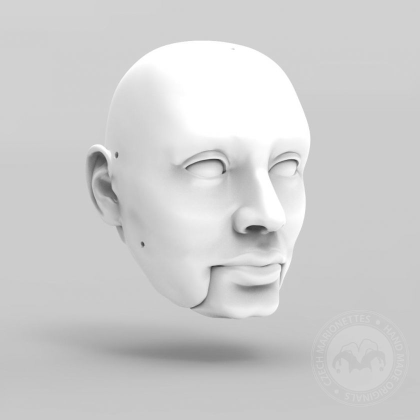 3D Modèle de tête d'un homme pour l'impression 3D 155 mm