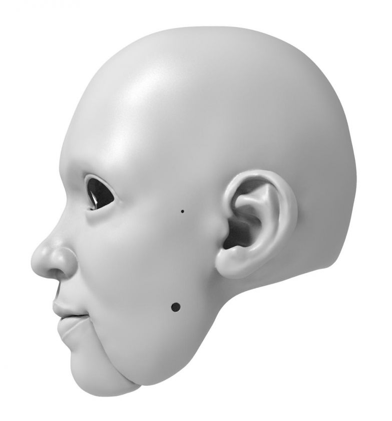 3D Modèle de tête d'une femme intelligente pour l'impression 3D