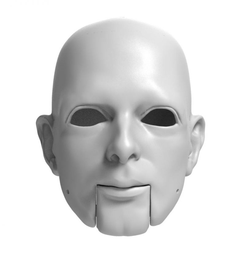 3D Model of narrow-minded man's head for 3D print