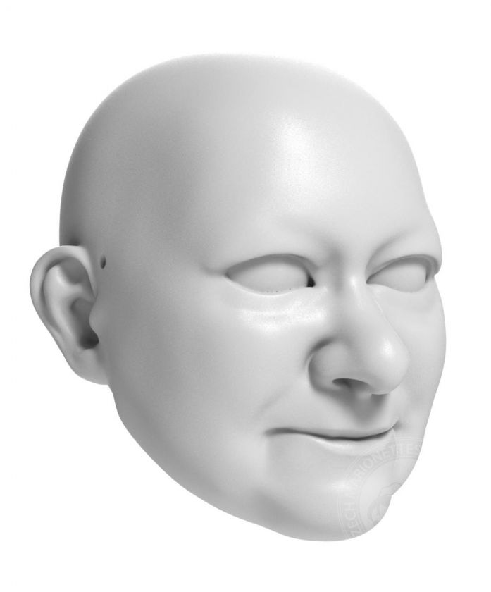3D Model of grandma's head for 3D print 120 mm
