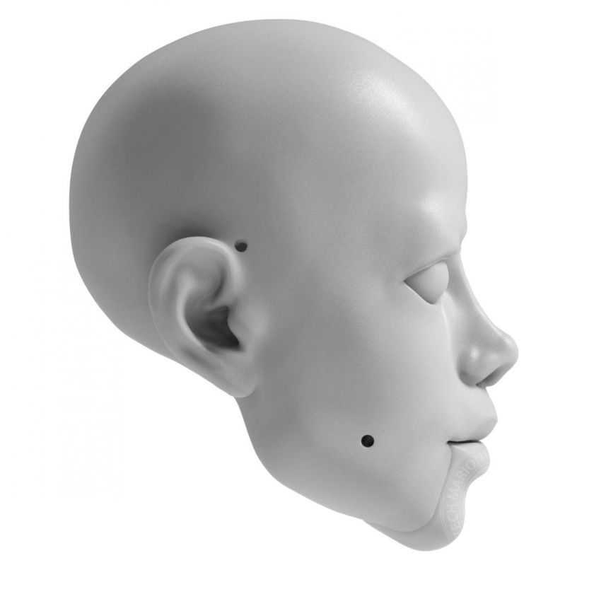 Michael Jackson 3D Kopfmodel für den 3D-Druck 130 mm