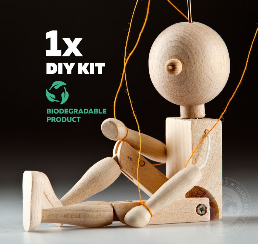 Mini Anymator DIY kit