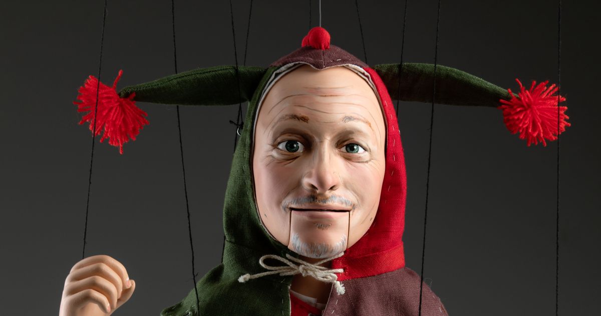 Medieval Man in a Jester Costume Custommade