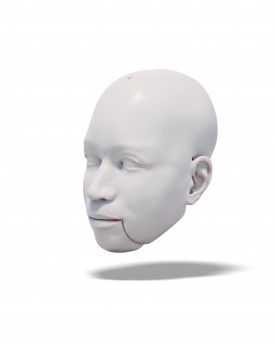 3D-Modell eines charmanten Männerkopfes für den 3D-Druck