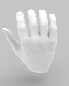 3D Model of open palm hands for 3D print