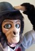 foto: Mr. Monkey - marionnette figurine ventriloque sur mesure