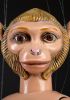 foto: Donna scimmia - insolita marionetta con il corpo di una ragazza e la testa di una scimmia