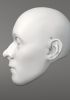 foto: Calm middle-aged man, 3D model of head
