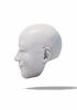 foto: 3D Model hlavy usměvavého gentlemana pro 3D tisk