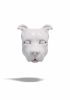 foto: Man and Dog, 2x 3D models of head
