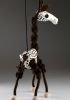 foto: Žirafa - měkká loutka Pepino