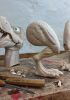 foto: T-Rex - Incroyable chef-d'œuvre de marionnettes sculptées à la main