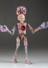 foto: Regenbogenskelett - Handgeschnitzte Marionette aus Holz