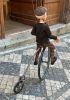 foto: Mann auf einem Fahrrad – maßgeschneiderte Marionette eines Velocipedisten