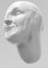 foto: Vogelscheuche 3D Modell Kopf für 3D Druck