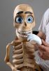 foto: Donnie - Le squelette de marionnette ventriloque ultime
