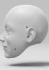 foto: 3D-Modell des Kopfes von Joan Mitchell