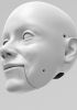 foto: Modèle 3D de la tête de Joan Mitchell