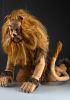 foto: Lion lâche - Marionnette du film ''Le Magicien d'Oz''