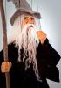 foto: Old wizard
