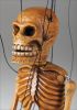 foto: Smiling Skeleton Marionette