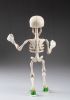 foto: Baby Bonnie - happy skeleton puppet