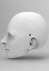 foto: Modèle de tête de Liza Minnelli pour l'impression 3D 120 mm