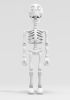 foto: Skeleton marionette in 3D model
