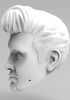 foto: 3D Model of Elvis Presley's head for 3D printing 160 mm