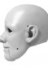 foto: 3D Model of honest man's head for 3D print